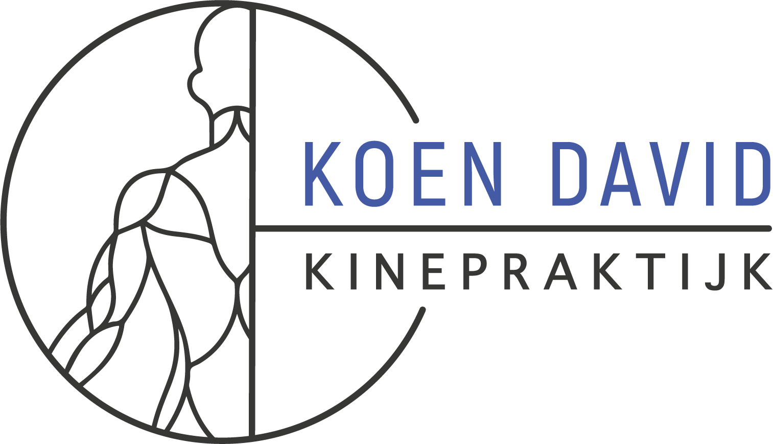 Logo van Koen David